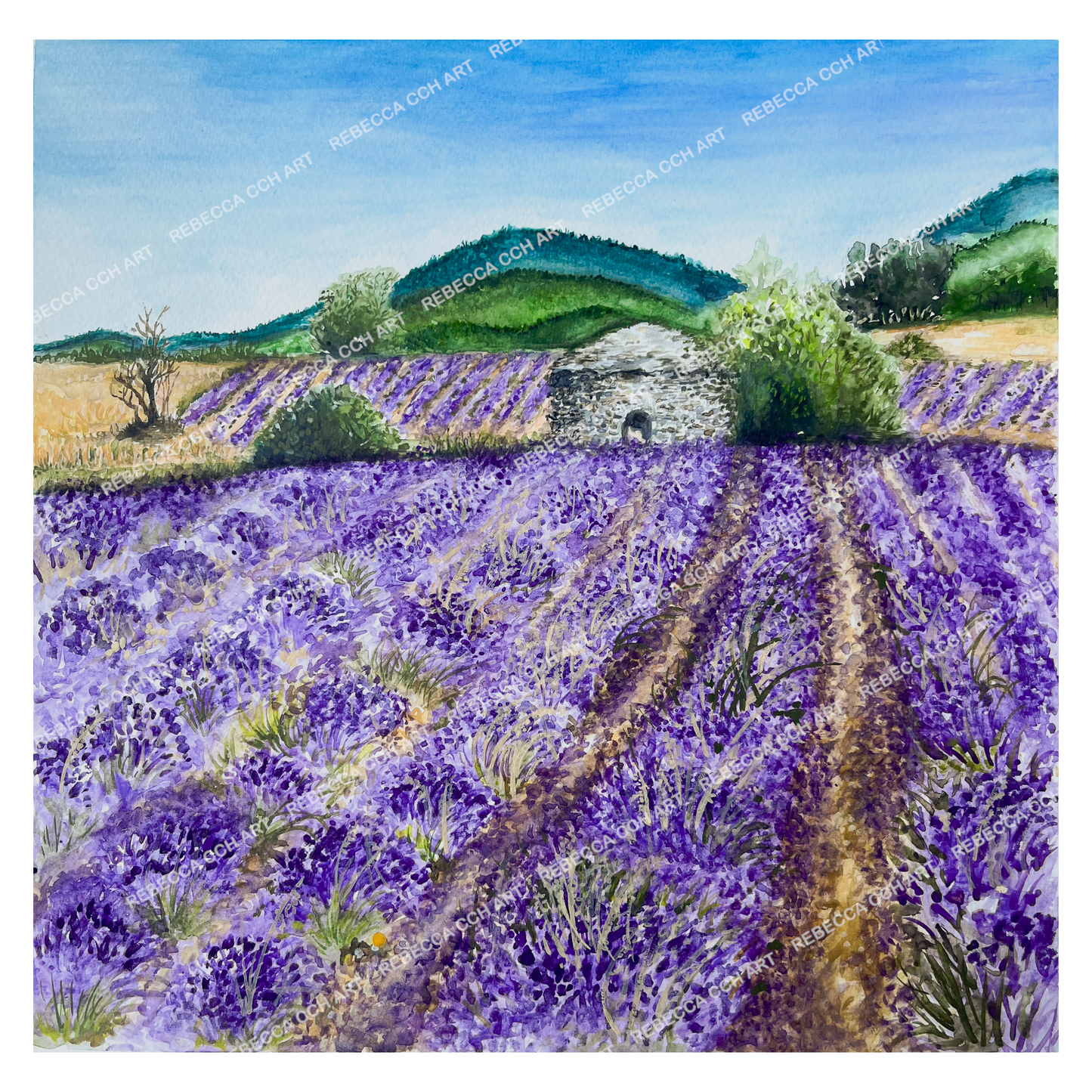 France Painting of a Lavender field, 'Purple, Wheat, and a stone hut' by Rebecca Cch Art