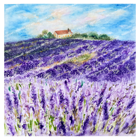 'A Dream of Provence' by Rebecca Cch Art, Lavender Field Provence Painting